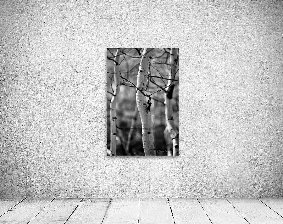 Aspen Curve Wall Preview