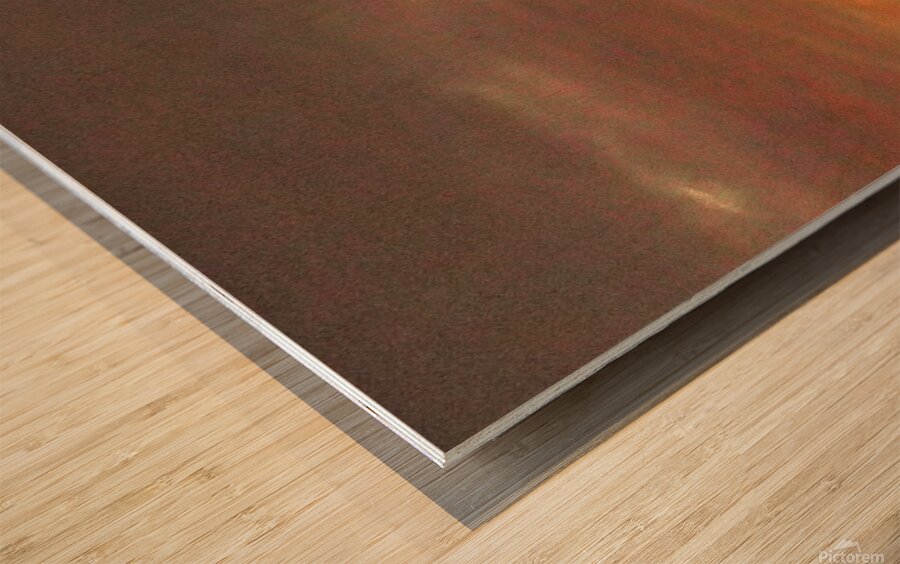 Pelican Sunset Wood print