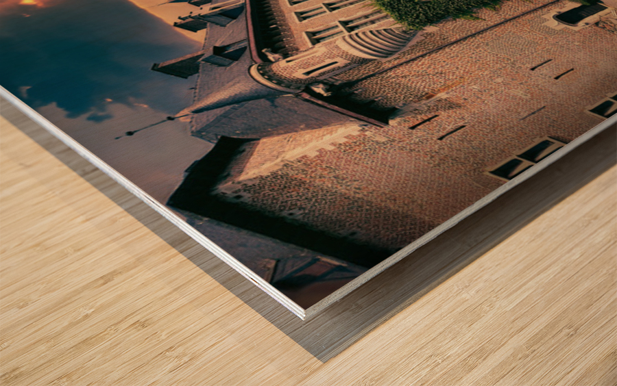 Kasteel van Gaasbeek Wood print