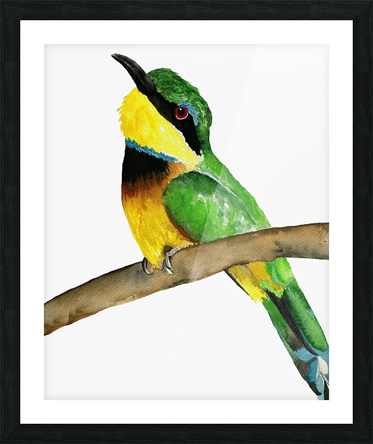 Beeeater Picture Frame print