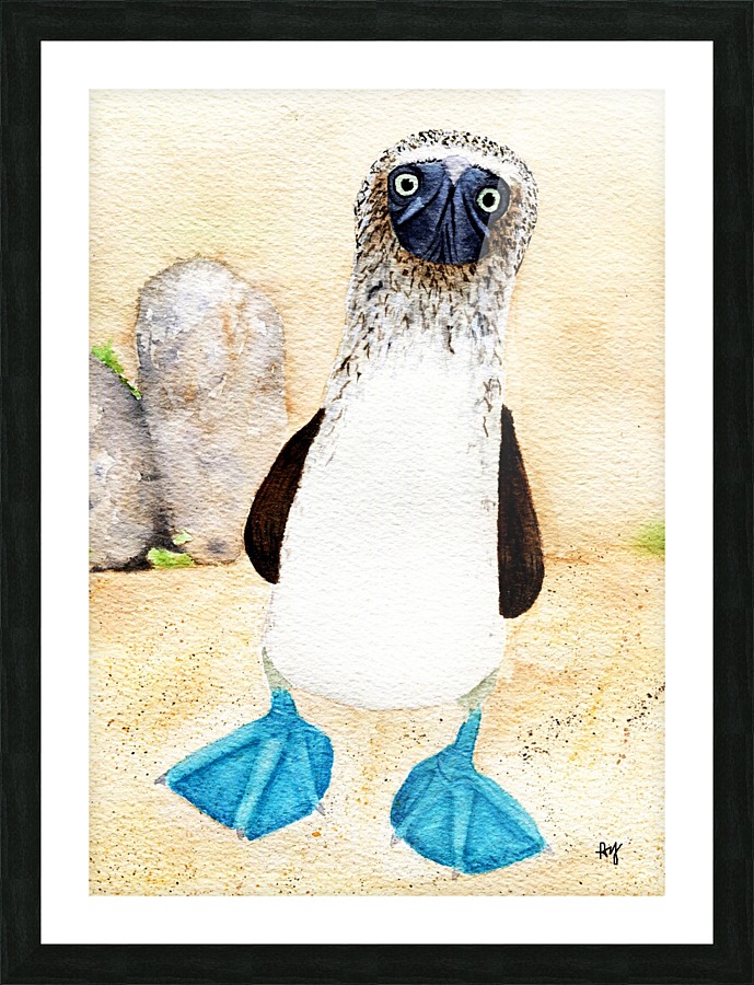 BlueFooted Picture Frame print