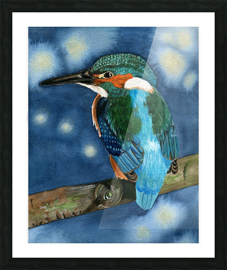 Kingfisher Picture Frame print