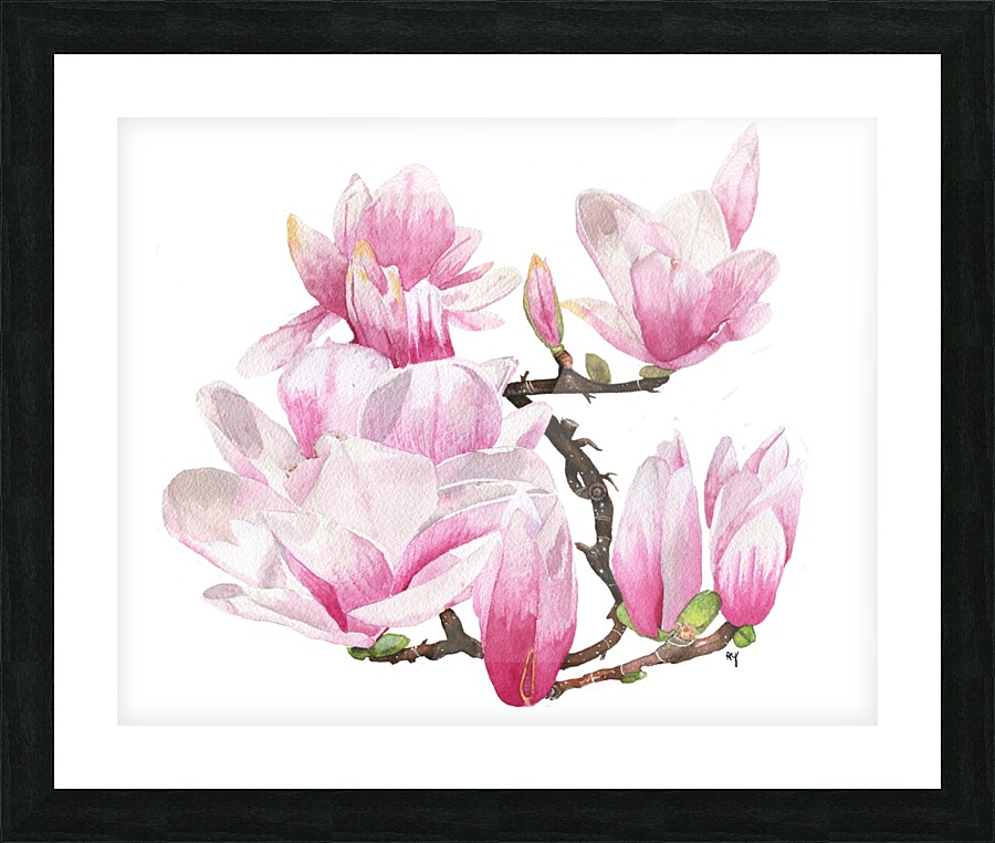 Magnolas Picture Frame print