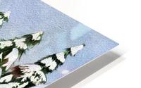 Mush HD Metal print