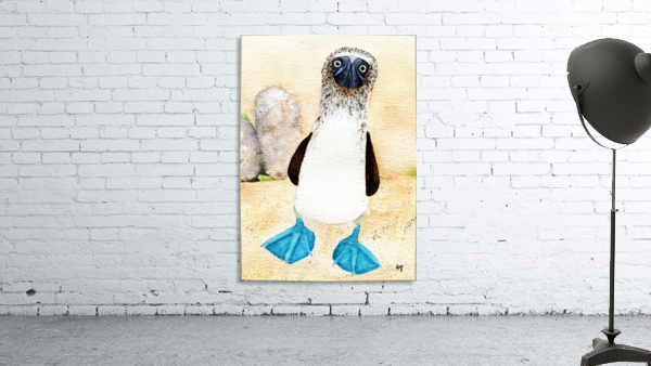 BlueFooted Wall Preview
