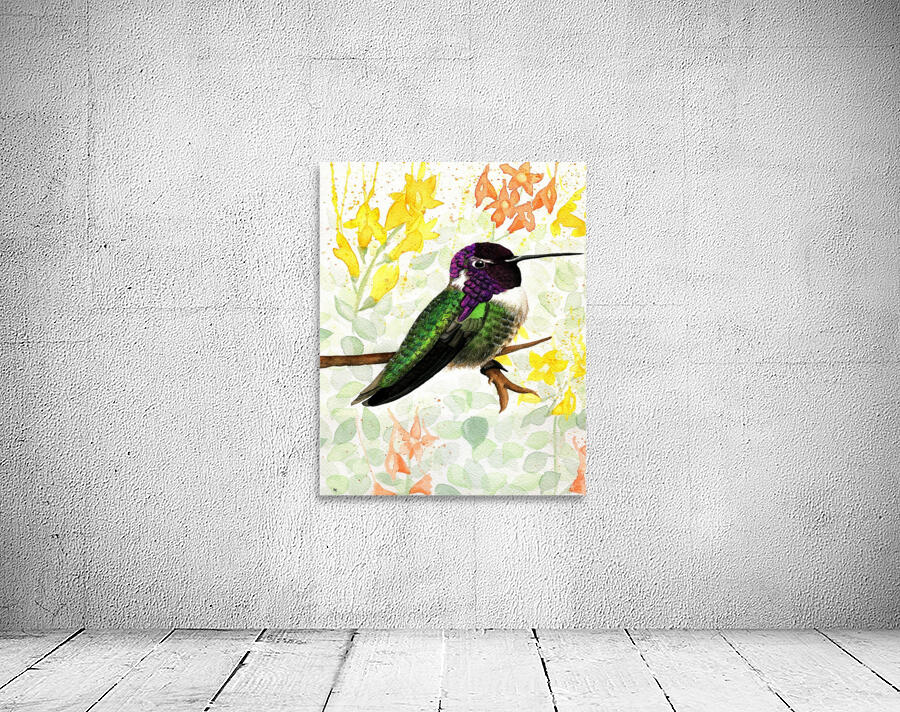 CostasHummingbird Wall Preview