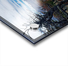 El Chalten vista  Acrylic print