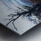 El Chalten vista  Metal print