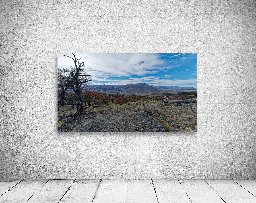 El Chalten vista  Wall Preview