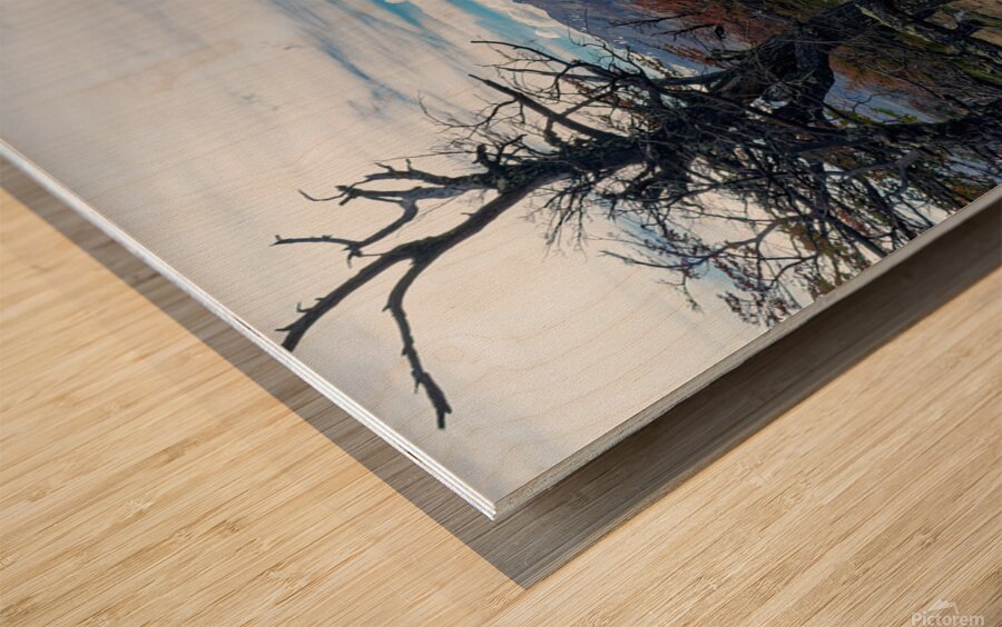 El Chalten vista  Wood print