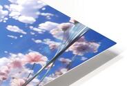 The Rose Garden HD Metal print