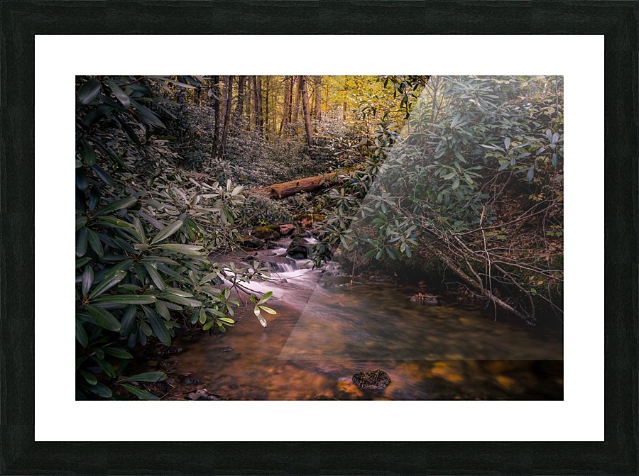 Wild Rhododendron Picture Frame print