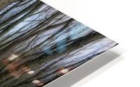 Trunks HD Metal print