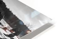 Father HD Metal print