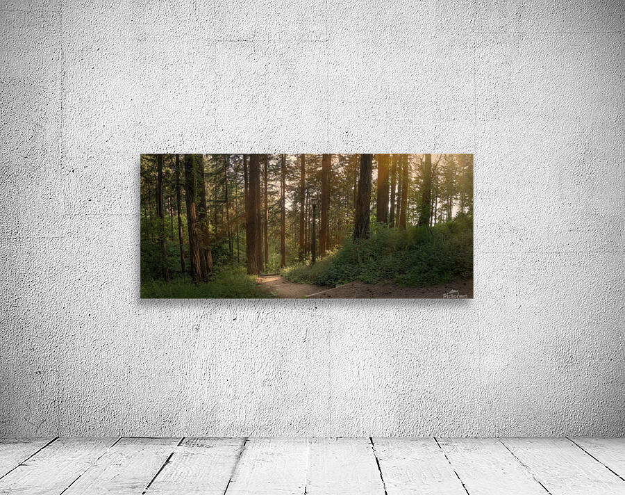 PNW Forest Wall Preview