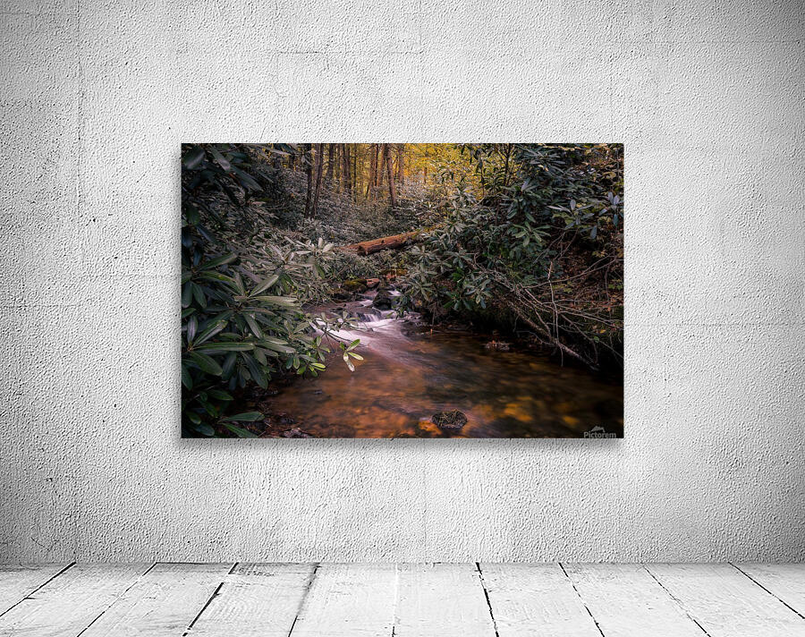 Wild Rhododendron Wall Preview