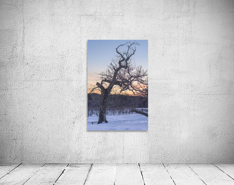 Winter Tree Wall Preview