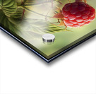 Raspberry FA 25 2x3 592 Acrylic print