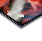 FA 25 2x3 749 Acrylic print