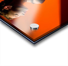 FA 25 2x3 697 Acrylic print