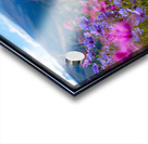 FA 25 2x3 692 Acrylic print