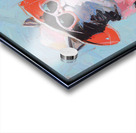 FA 25 2x3 824 Acrylic print
