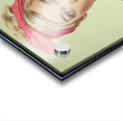 FA 25 2x3 804 Acrylic print