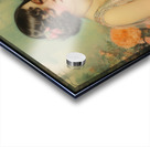 FA 25 2x3 874 Acrylic print