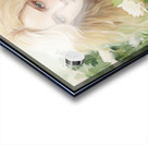 FA 25 2x3 840 Acrylic print