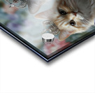 FA 25 2x3 905 Acrylic print