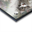 FA 25 2x3 902 Acrylic print