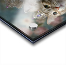 FA 25 2x3 907 Acrylic print