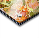FA 25 2x3 992 Acrylic print