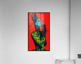 Queen FA 25 2x3  121 Acrylic Print