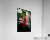 Raspberry FA 25 2x3 594 Acrylic Print
