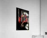 FA 25 2x3 698 Acrylic Print