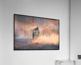 FA 25 2x3 690 Acrylic Print