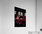FA 25 2x3 718 Acrylic Print