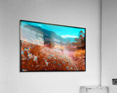 FA 25 2x3 691 Acrylic Print