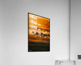 FA 25 2x3 753 Acrylic Print