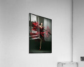 FA 25 2x3 709 Acrylic Print