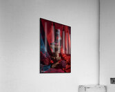 FA 25 2x3 731 Acrylic Print