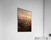 FA 25 2x3 730 Acrylic Print
