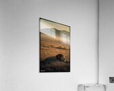 FA 25 2x3 708 Acrylic Print
