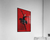 FA 25 2x3 720 Acrylic Print