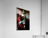 FA 25 2x3 725 Acrylic Print