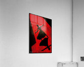FA 25 2x3 741 Acrylic Print