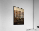 FA 25 2x3 712 Acrylic Print