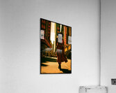 FA 25 2x3 702 Acrylic Print