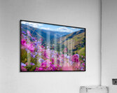 FA 25 2x3 692 Acrylic Print
